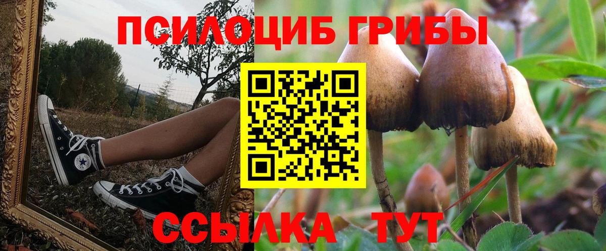 Псилоцибиновые грибы мухоморы Апрелевка